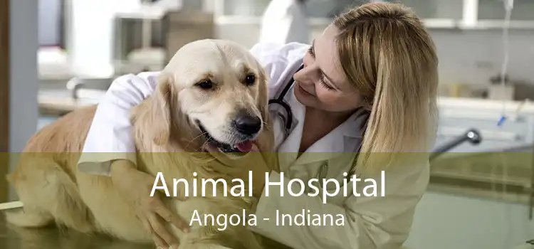 Animal Hospital Angola - Indiana