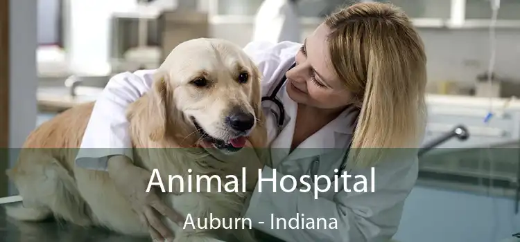 Animal Hospital Auburn - Indiana