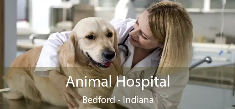 Animal Hospital Bedford - Indiana