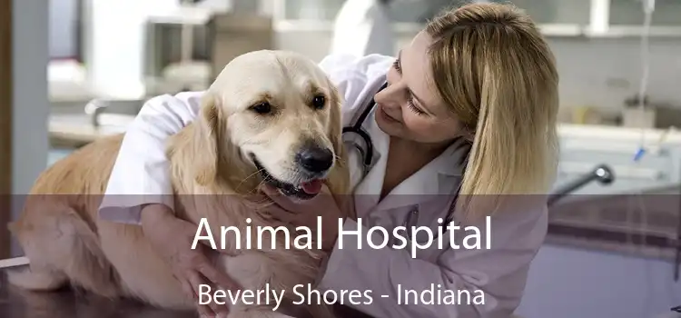 Animal Hospital Beverly Shores - Indiana