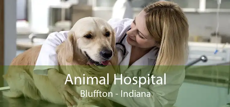 Animal Hospital Bluffton - Indiana