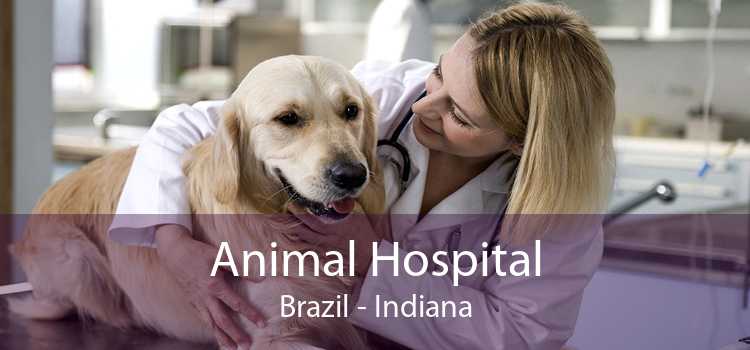 Animal Hospital Brazil - Indiana