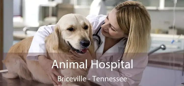 Animal Hospital Briceville - Tennessee