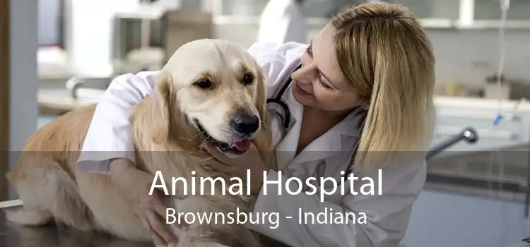 Animal Hospital Brownsburg - Indiana