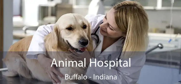 Animal Hospital Buffalo - Indiana