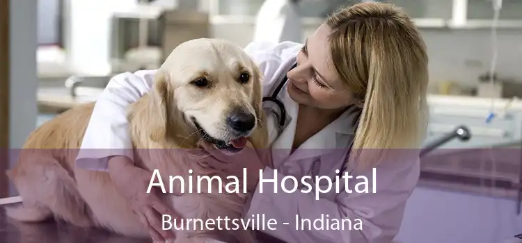 Animal Hospital Burnettsville - Indiana