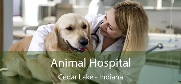 Animal Hospital Cedar Lake - Indiana