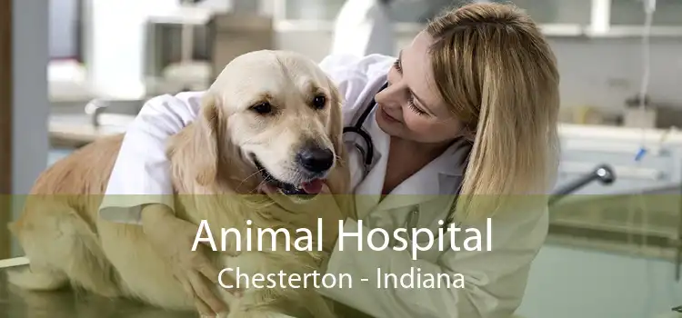 Animal Hospital Chesterton - Indiana
