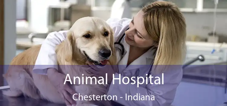 Animal Hospital Chesterton - Indiana