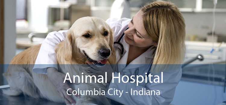 Animal Hospital Columbia City - Indiana