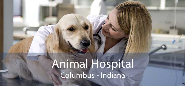 Animal Hospital Columbus - Indiana