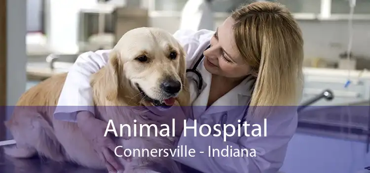 Animal Hospital Connersville - Indiana