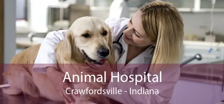 Animal Hospital Crawfordsville - Indiana