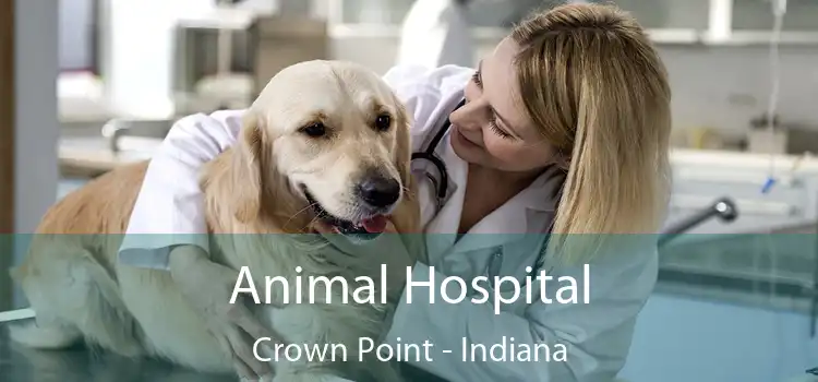 Animal Hospital Crown Point - Indiana