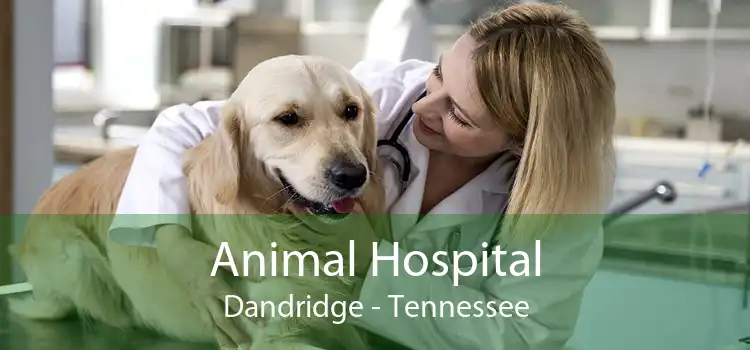 Animal Hospital Dandridge - Tennessee