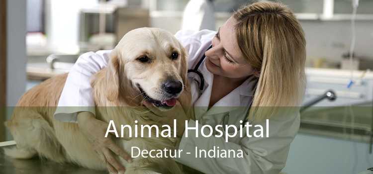 Animal Hospital Decatur - Indiana