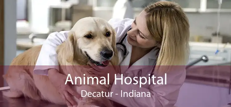 Animal Hospital Decatur - Indiana