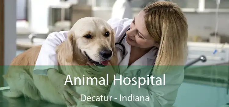 Animal Hospital Decatur - Indiana