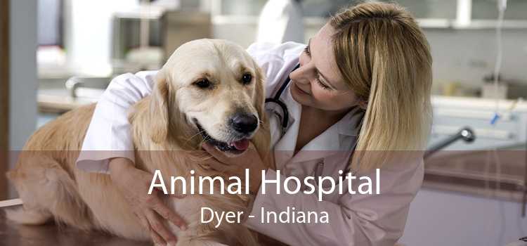 Animal Hospital Dyer - Indiana