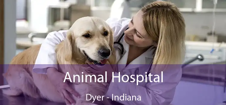 Animal Hospital Dyer - Indiana