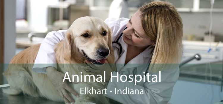 Animal Hospital Elkhart - Indiana