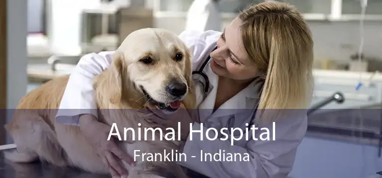 Animal Hospital Franklin - Indiana