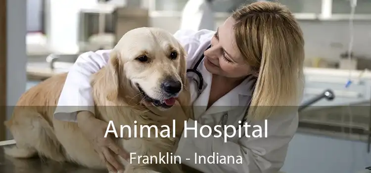 Animal Hospital Franklin - Indiana