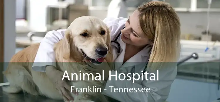 Animal Hospital Franklin - Tennessee