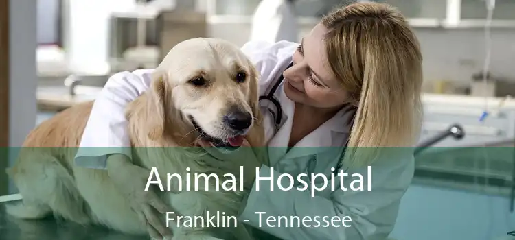 Animal Hospital Franklin - Tennessee