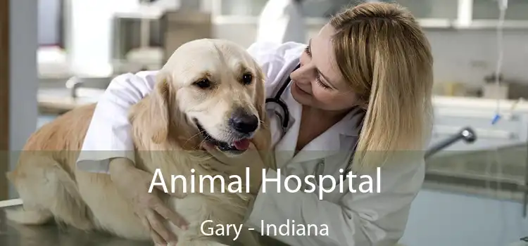 Animal Hospital Gary - Indiana