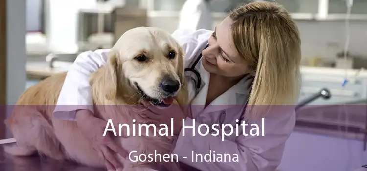 Animal Hospital Goshen - Indiana