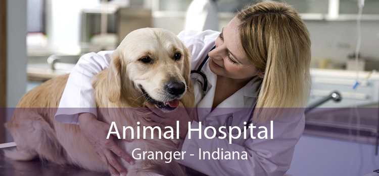 Animal Hospital Granger - Indiana