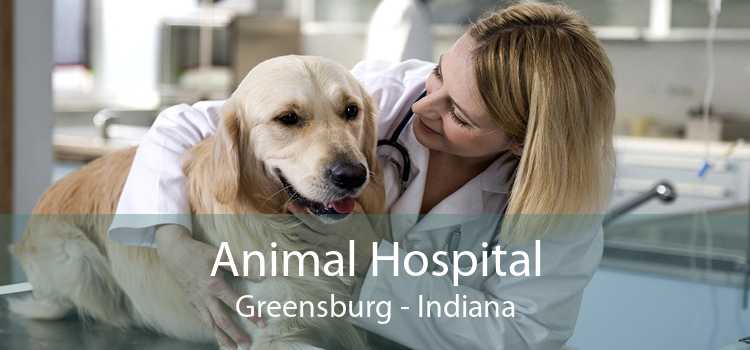 Animal Hospital Greensburg - Indiana