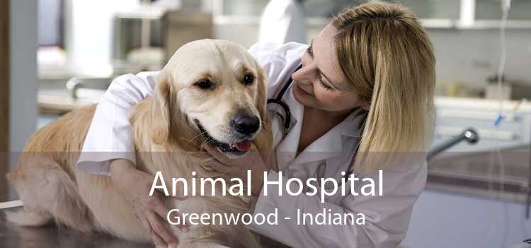 Animal Hospital Greenwood - Indiana