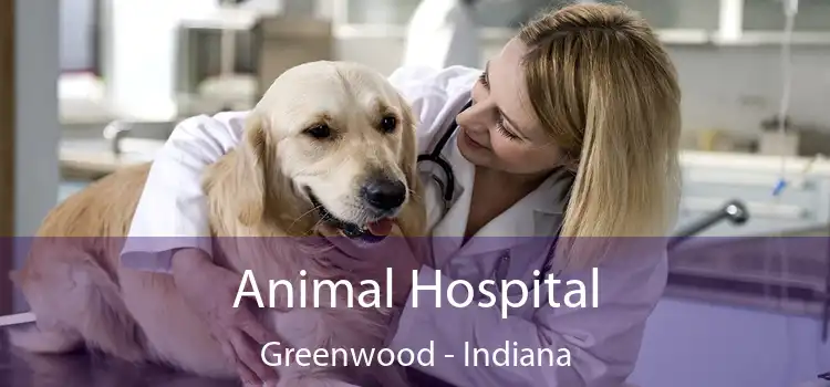 Animal Hospital Greenwood - Indiana