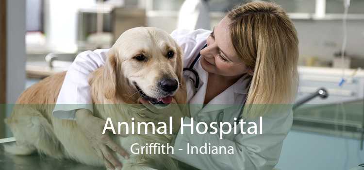 Animal Hospital Griffith - Indiana