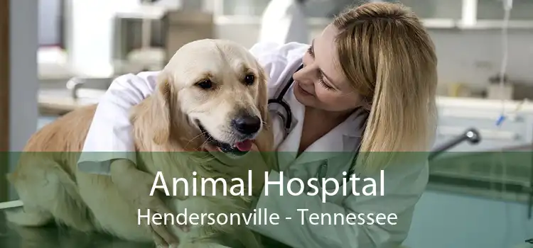 Animal Hospital Hendersonville - Tennessee