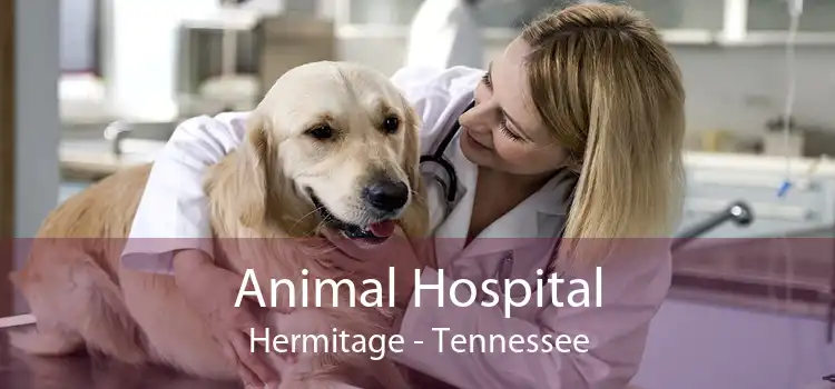 Animal Hospital Hermitage - Tennessee