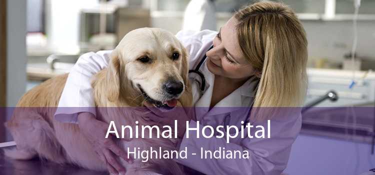 Animal Hospital Highland - Indiana
