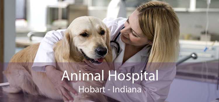 Animal Hospital Hobart - Indiana