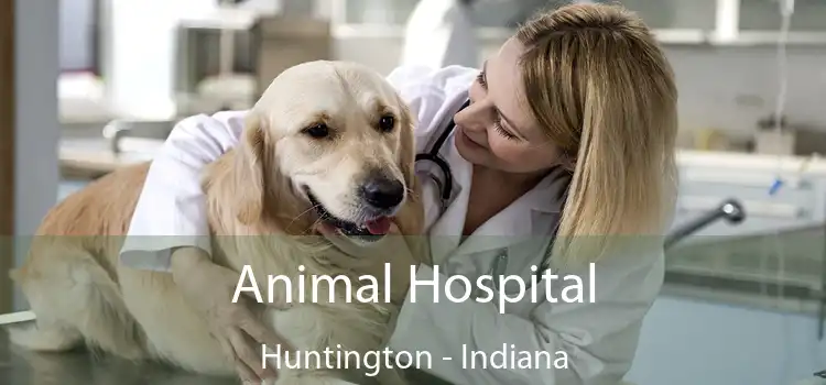 Animal Hospital Huntington - Indiana