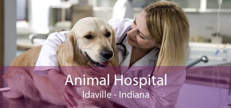 Animal Hospital Idaville - Indiana