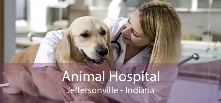 Animal Hospital Jeffersonville - Indiana