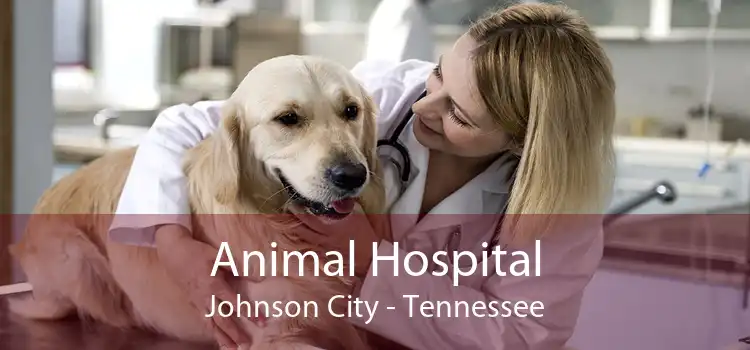 Animal Hospital Johnson City - Tennessee