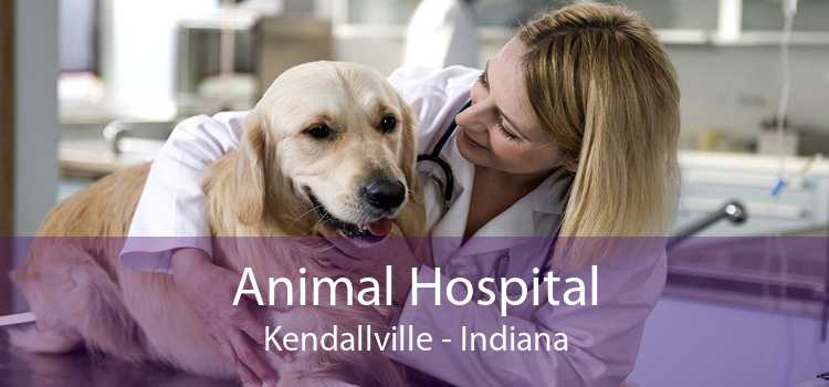 Animal Hospital Kendallville - Indiana