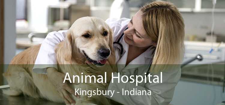 Animal Hospital Kingsbury - Indiana