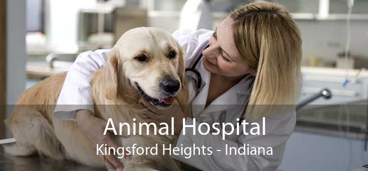 Animal Hospital Kingsford Heights - Indiana