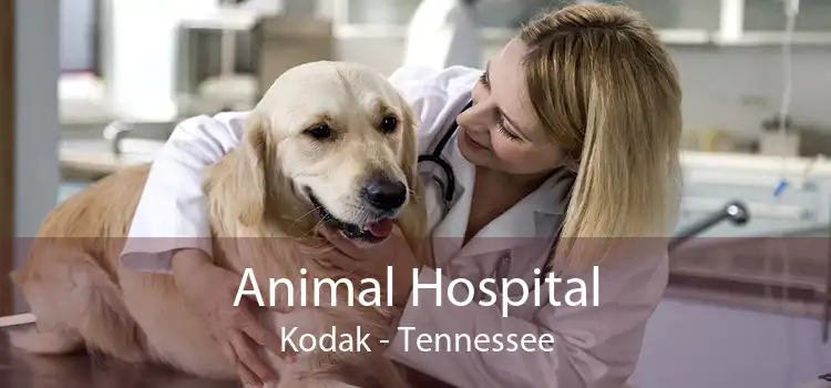 Animal Hospital Kodak - Tennessee