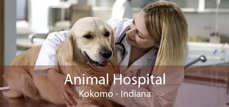Animal Hospital Kokomo - Indiana