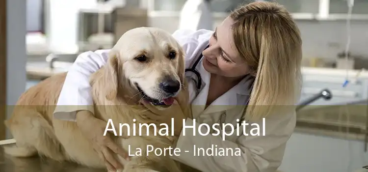 Animal Hospital La Porte - Indiana